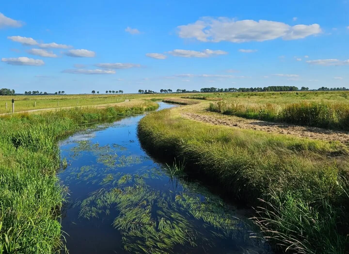 Fietsen natuurgebied De Branden Mountainbiken