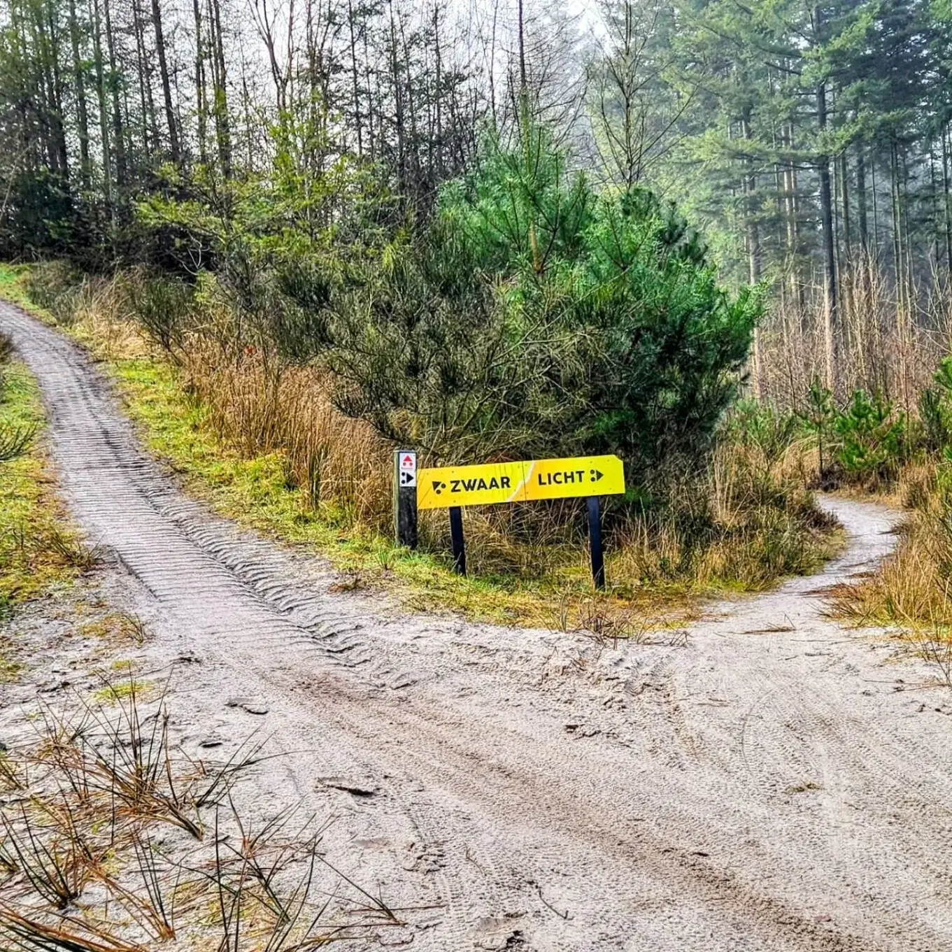 Mountainbiken op de Hondsrug bos
